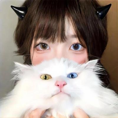 茉莉牌局