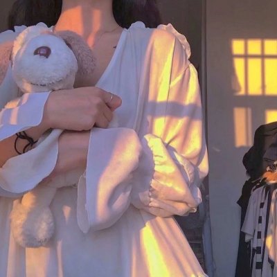 狗岛的宝藏